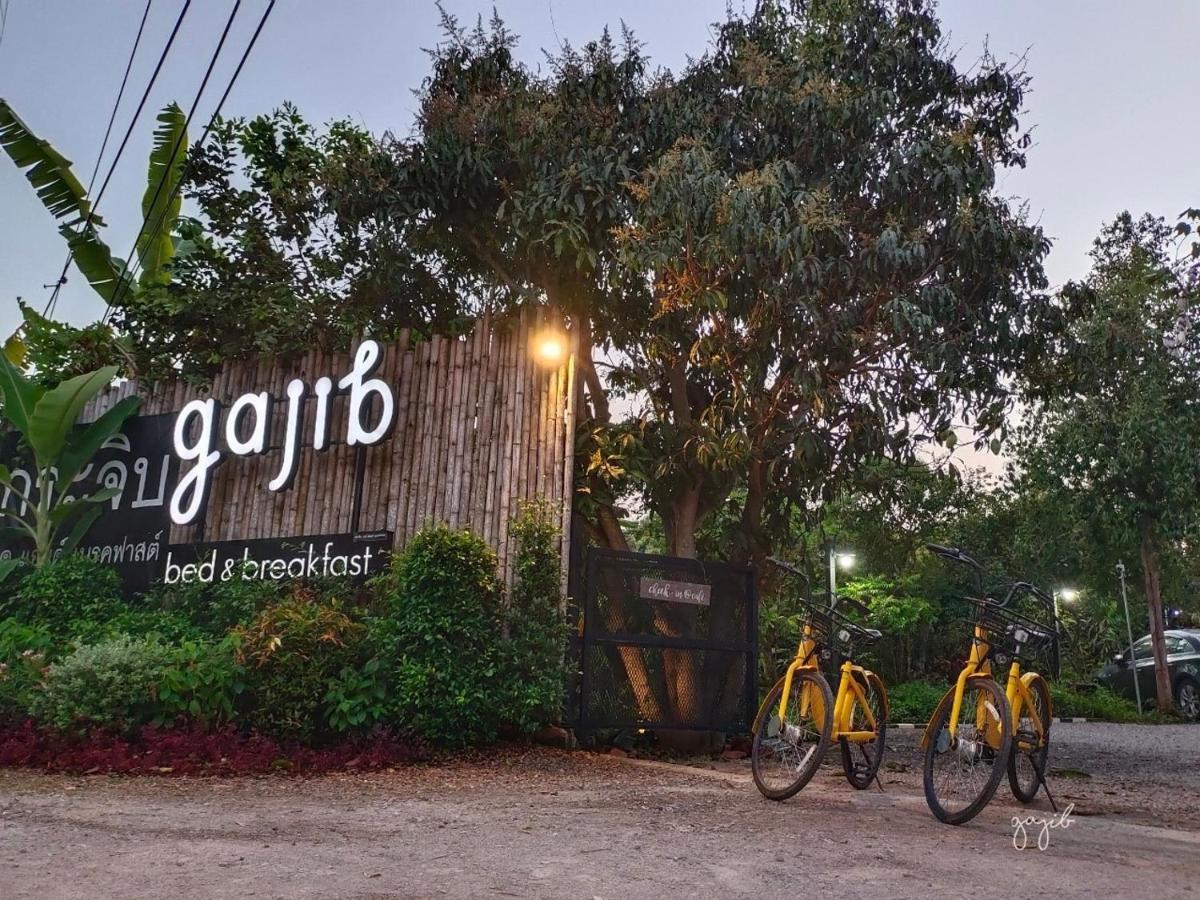 Hotel Gajib 3*